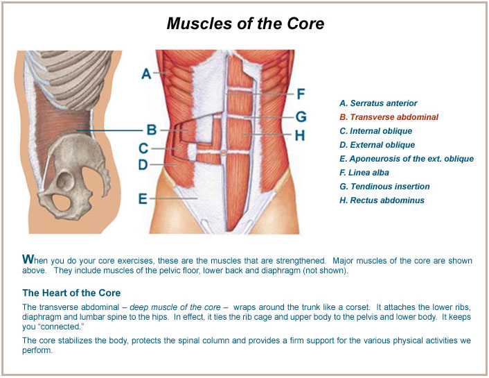 The Benefits of Strong Core Muscles
